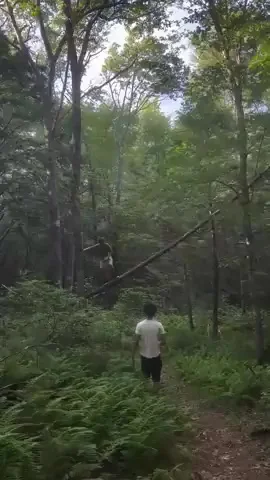 Мне, пожалуйста, двойной Дарвин!