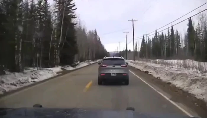 Гайд по быстрому задержанию нарушителя. От копов с Аляски