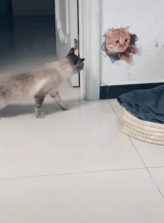 Ассорти из гиф-анимаций