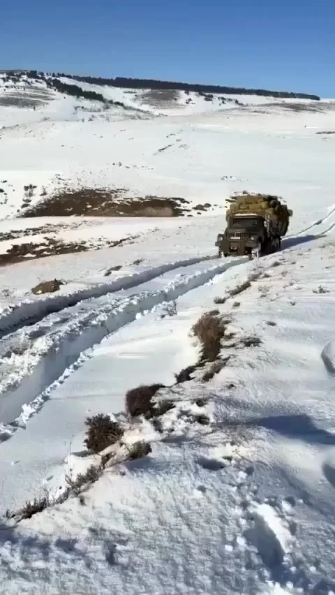 Бессмертная техника