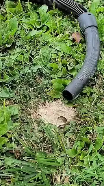 Удаление подземного гнезда ос