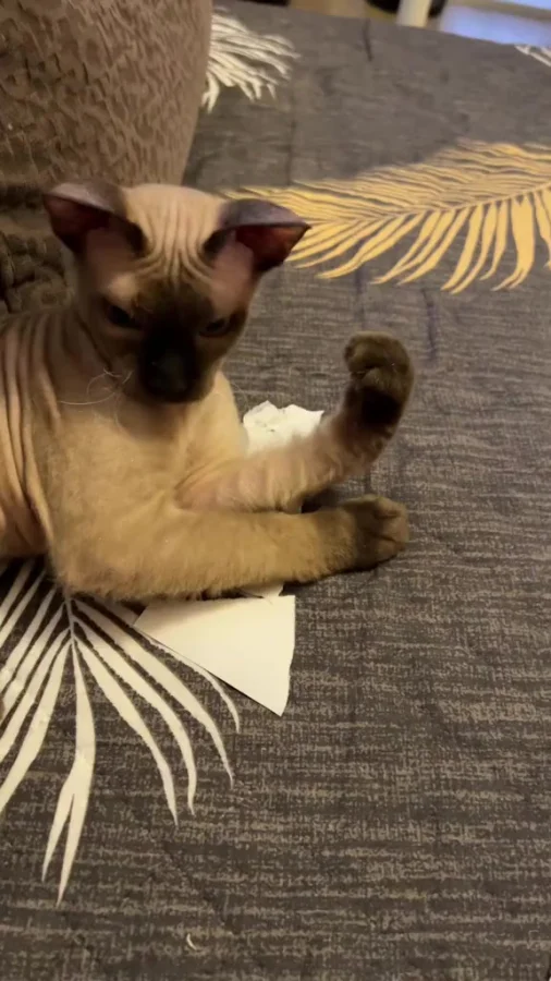 Домашний компостер