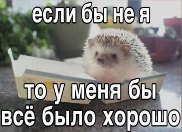 Доза ежедневного юмора