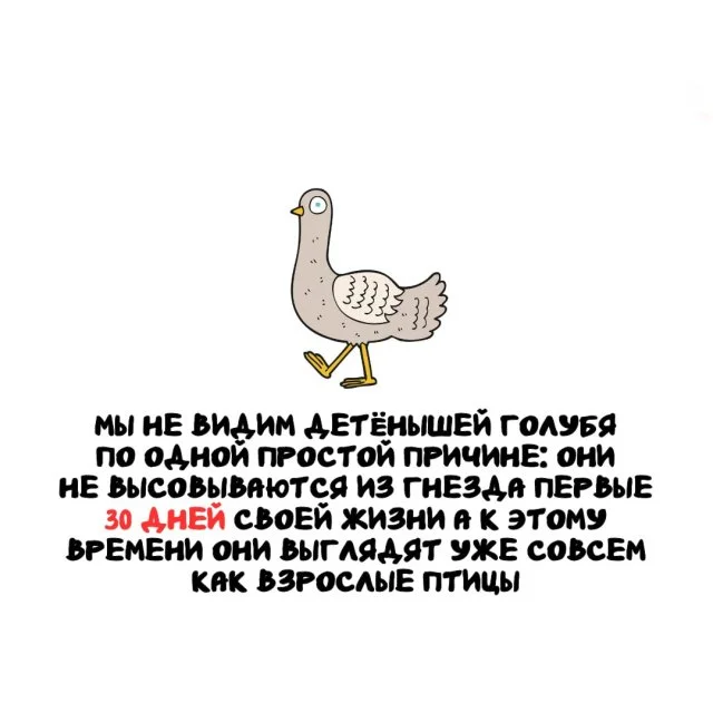 Факты на все случаи жизни