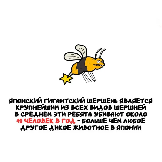 Факты обо всем на свете