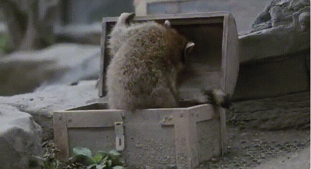 Гифки, которые заставят тебя залипнуть