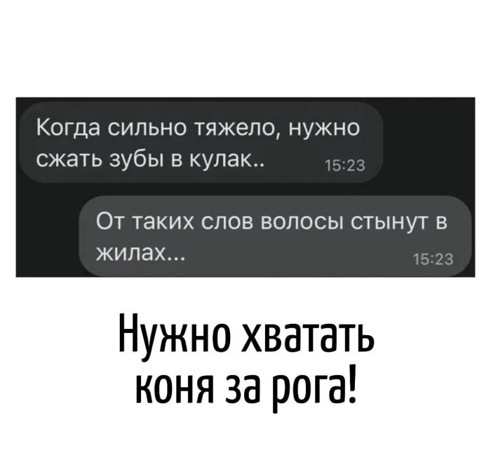 Игра слов – каламбуры, словесный юмор и прикольные картинки #169