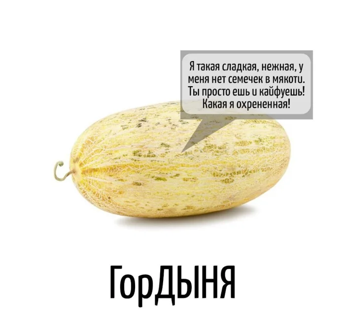 Игра слов – каламбуры, словесный юмор и прикольные картинки #181