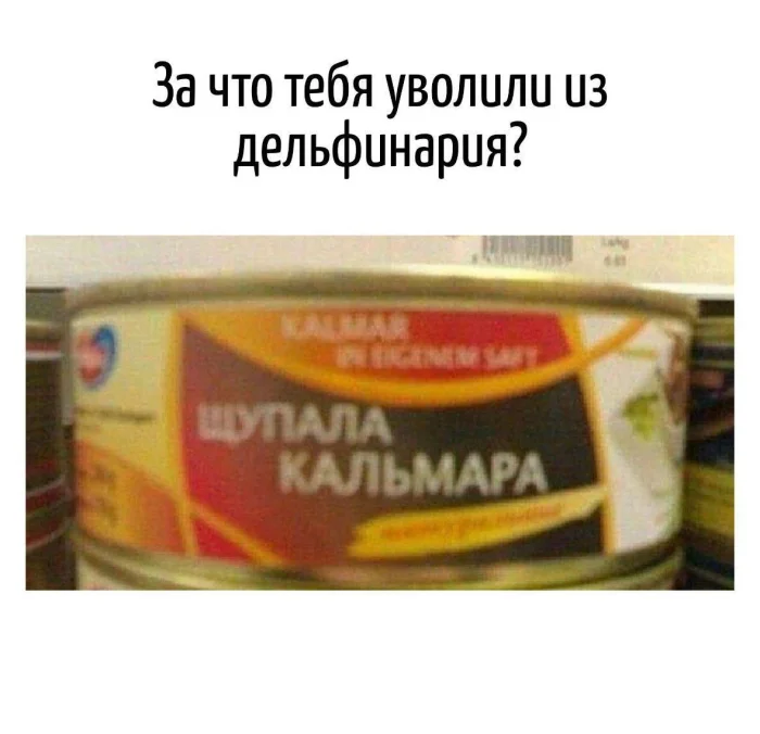 Игра слов – каламбуры, словесный юмор и прикольные картинки #189
