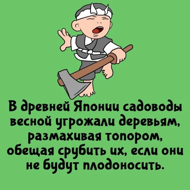 Интересные факты для вас