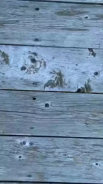 Исторический кремнёвый пистолет Harper’s Ferry