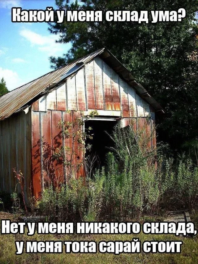 Юмор в картинках