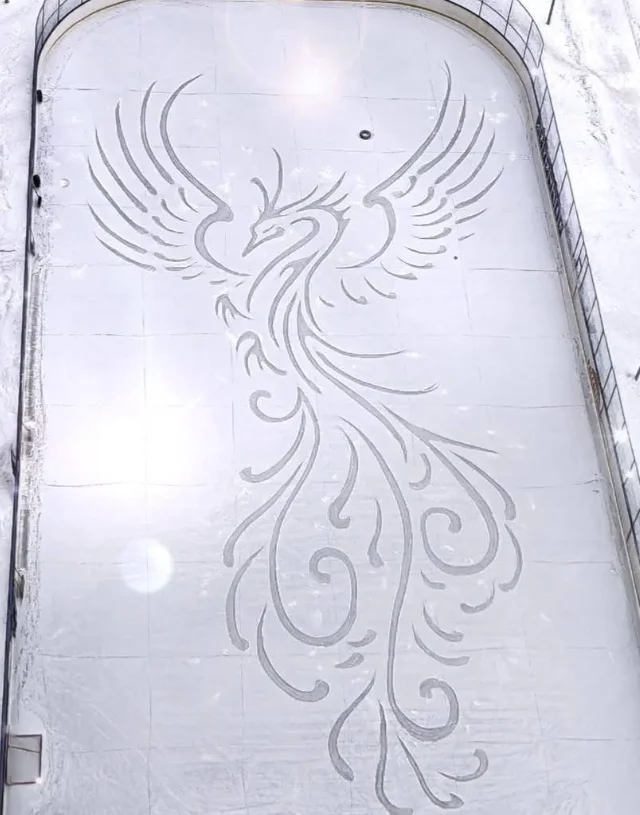 Картины, созданные снегом