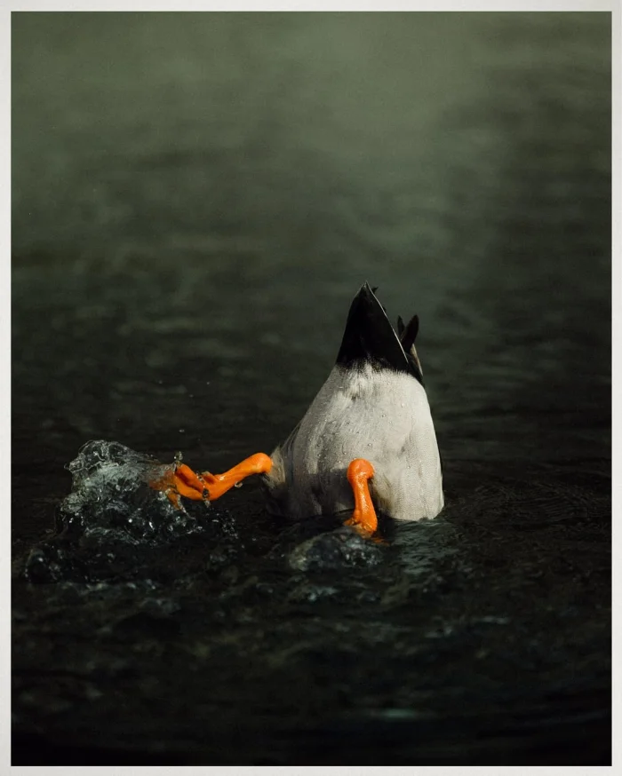 Красота нашего мира