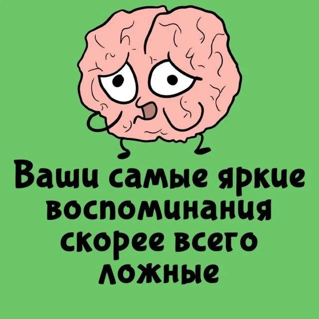 Любопытные факты обо всём на свете