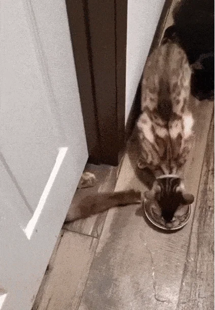 Лучшие гифки в одном месте