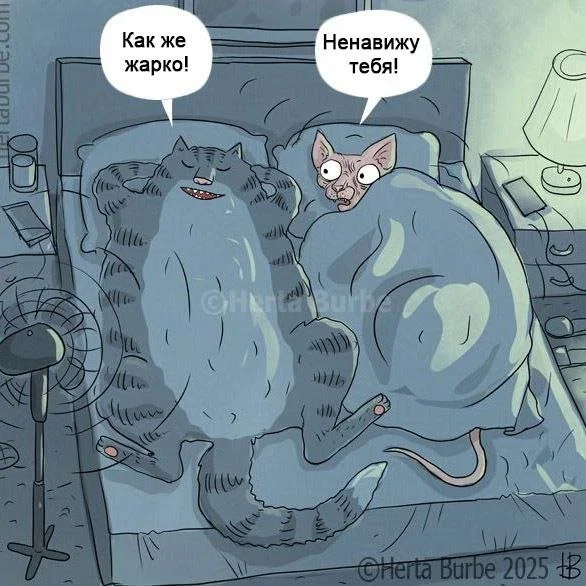 Лучшие мемы и забавные картинки из интернета