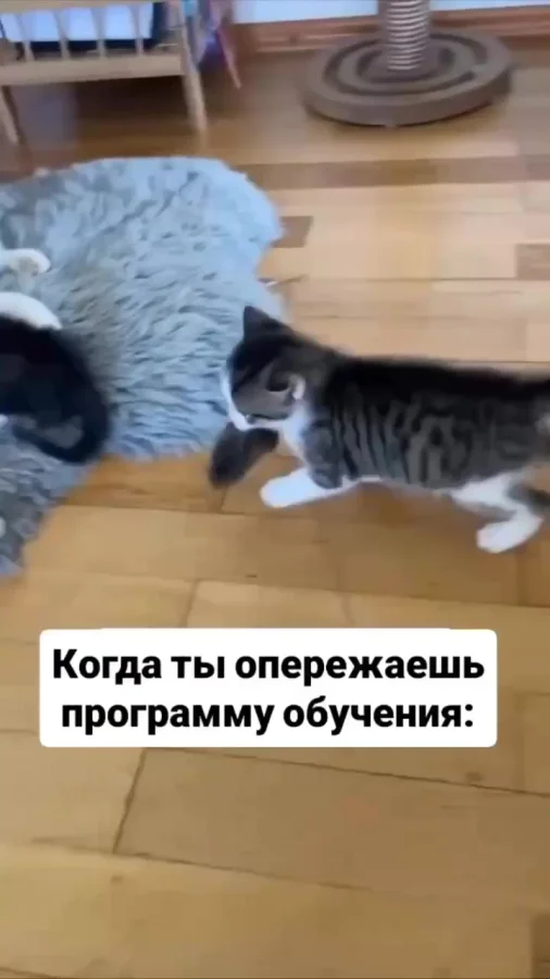 Мам, смотри что умею