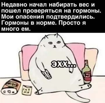 Мемы и картинки — запас смеха