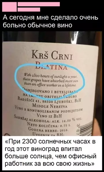 Мемы и картинки — запас смеха