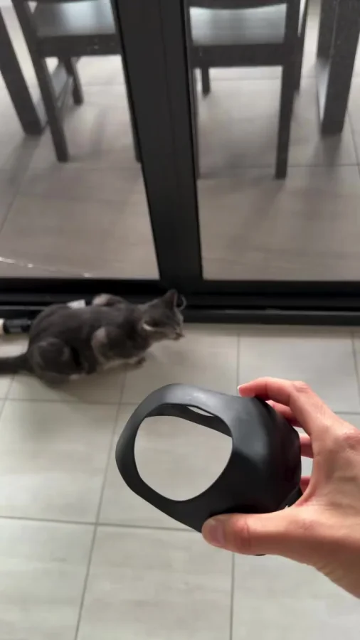 Мой хозяин балбес