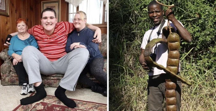 Настоящие гиганты: предметы и живые существа невероятных масштабов