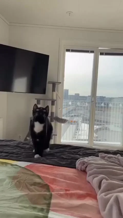 Не удачный выбор люстры