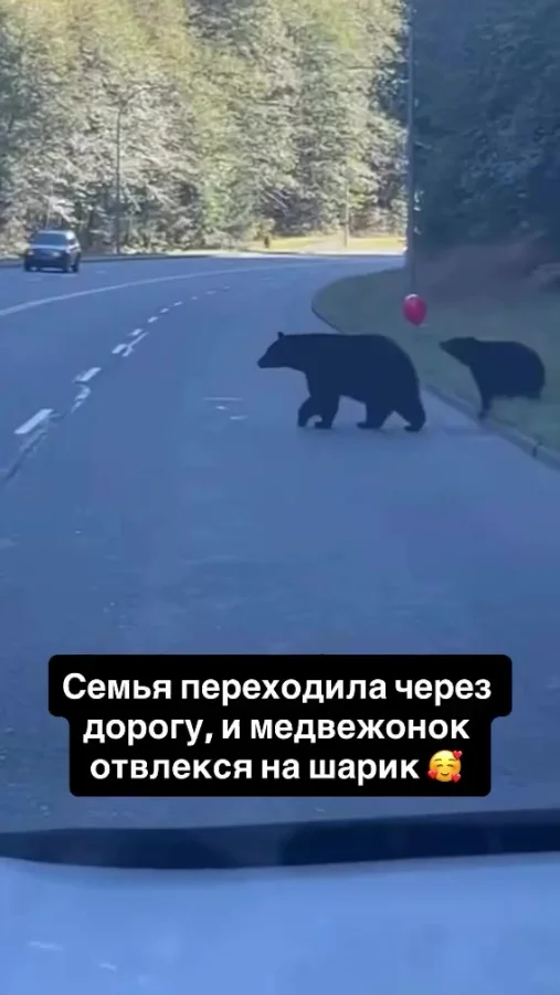 Немного милоты