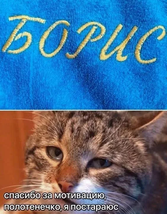 Немного смешных мемов