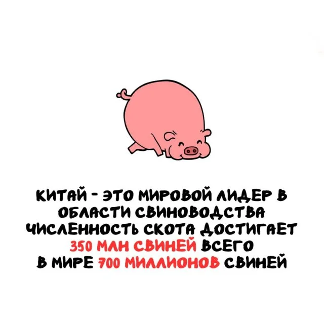 Необычные факты для любого настроения