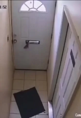 Неудачливый воришка