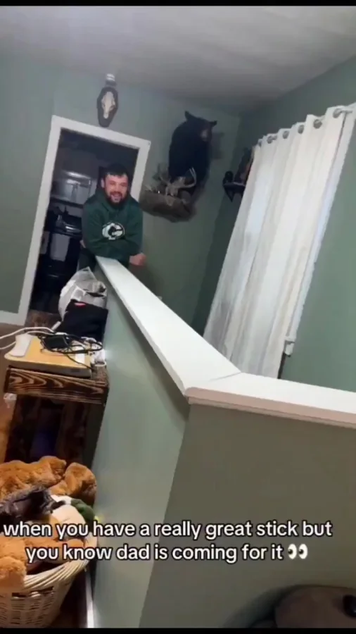 Новая любимая палка