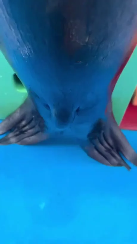 Ну и чего ты меня трогаешь?