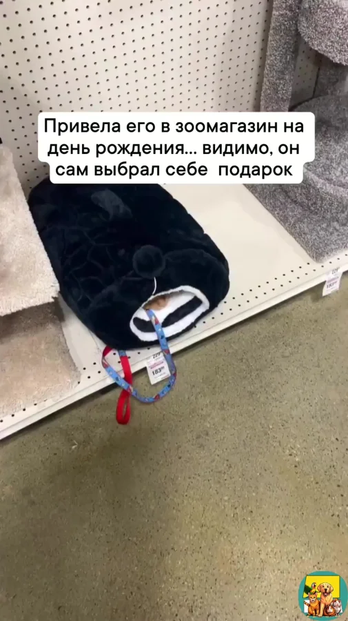 Он себе выбрал подарок