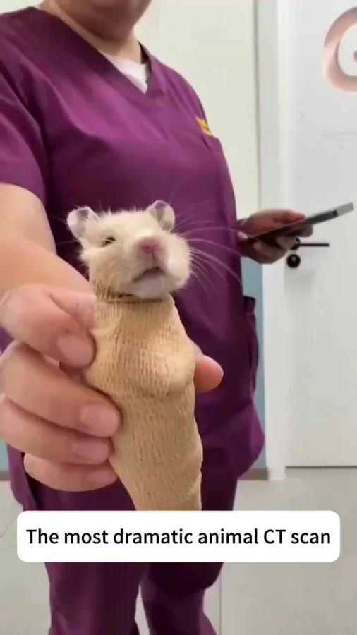 Особые пациенты