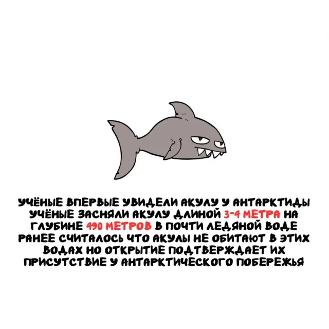 Подборка любопытных фактов