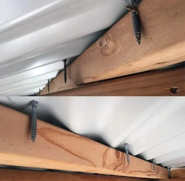 Подборка странных картинок