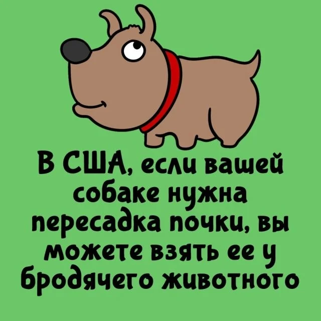 Полезно знать