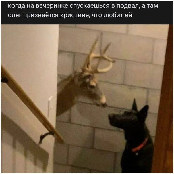 Пошлые мемы и чёрный юмор 18+ | Подборка #123