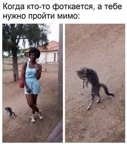 Проходи мимо, если боишься смеяться