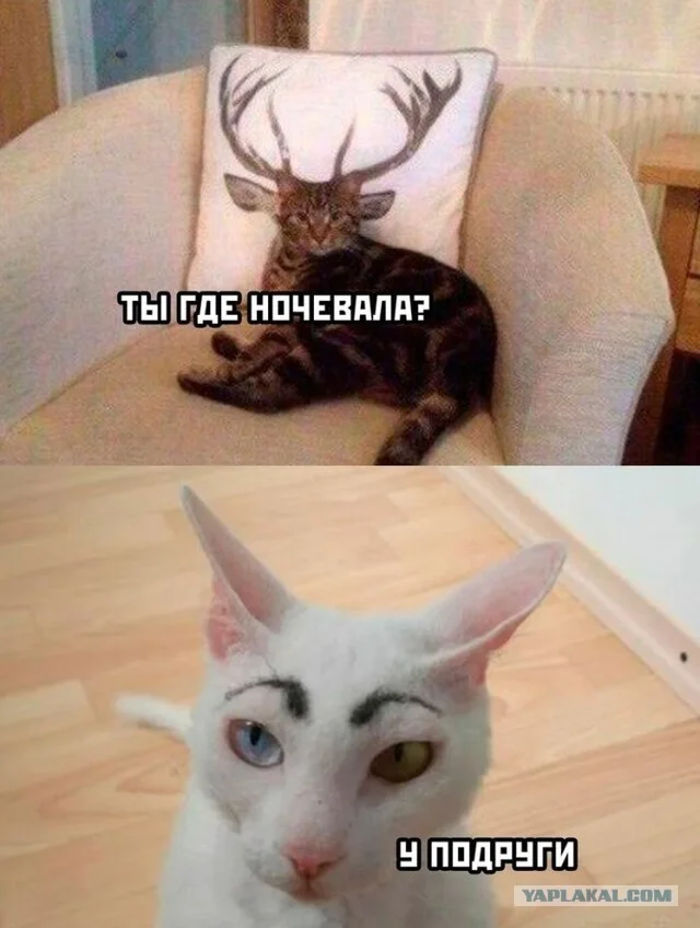 Просто картинки. Деградируем вместе