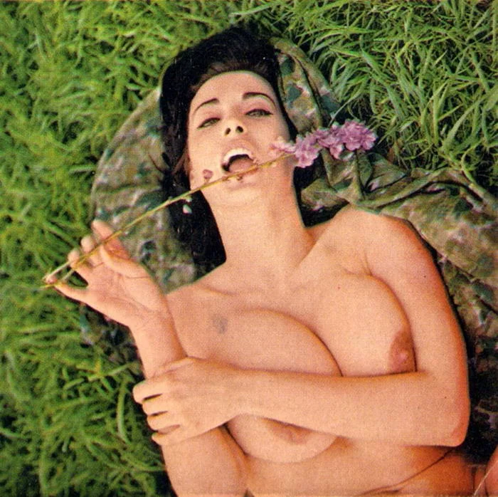 Ретро-эротика