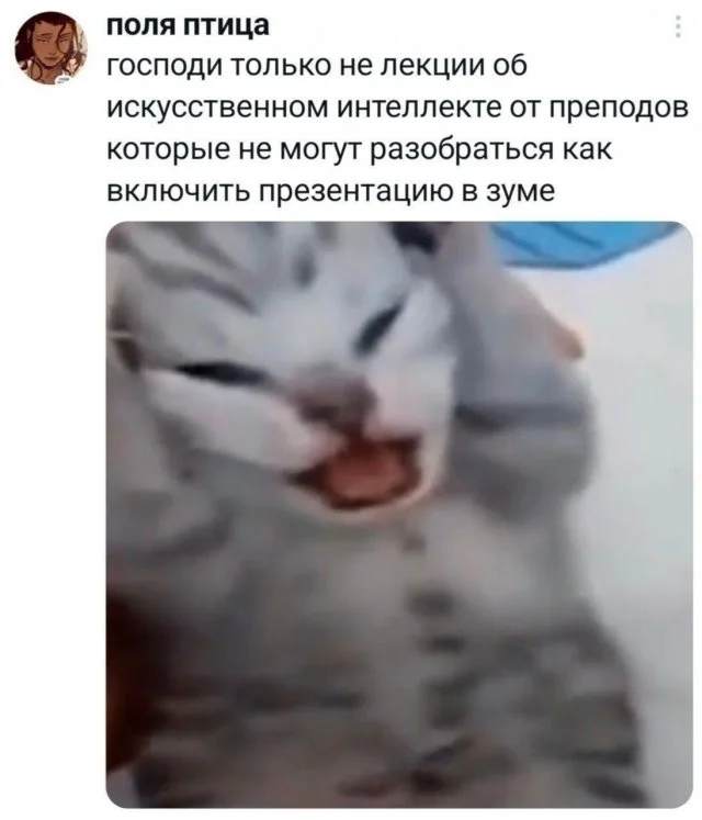 Самые смешные твиты обо всём подряд
