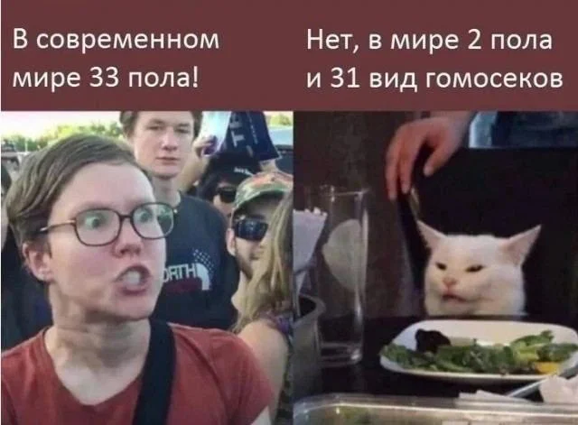 Сборник уморительных изображений для отличного настроения