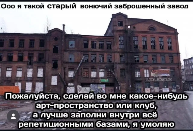 Шутки и мемы для настроения