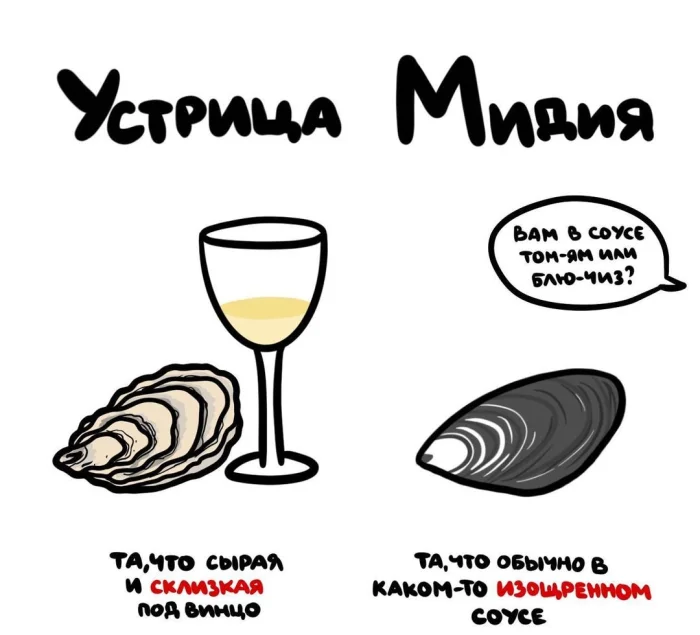 Слова, которые часто путают: в чём разница #12