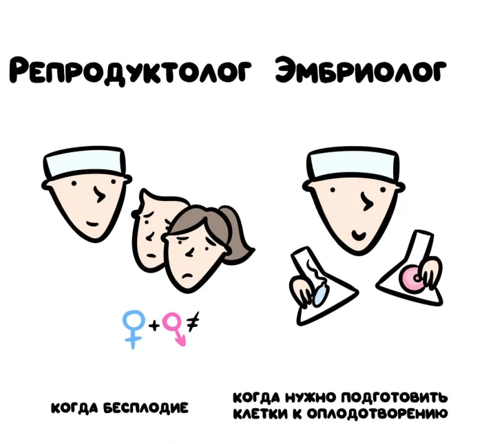 Слова, которые часто путают: в чём разница #13