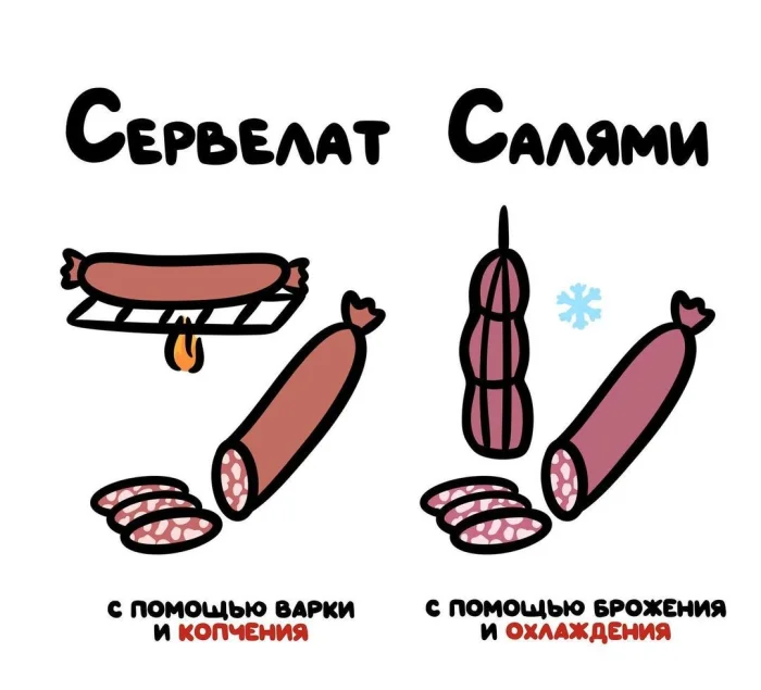 Слова, которые часто путают: в чём разница #14