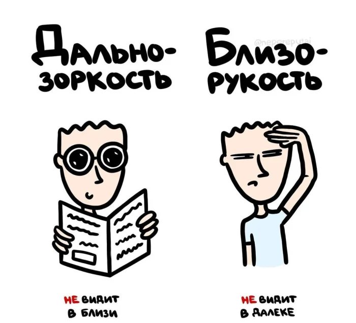 Слова, которые часто путают: в чём разница #15