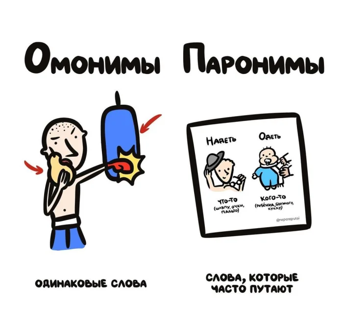 Слова, которые часто путают: в чём разница #15